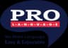 Логотип Pro Language School